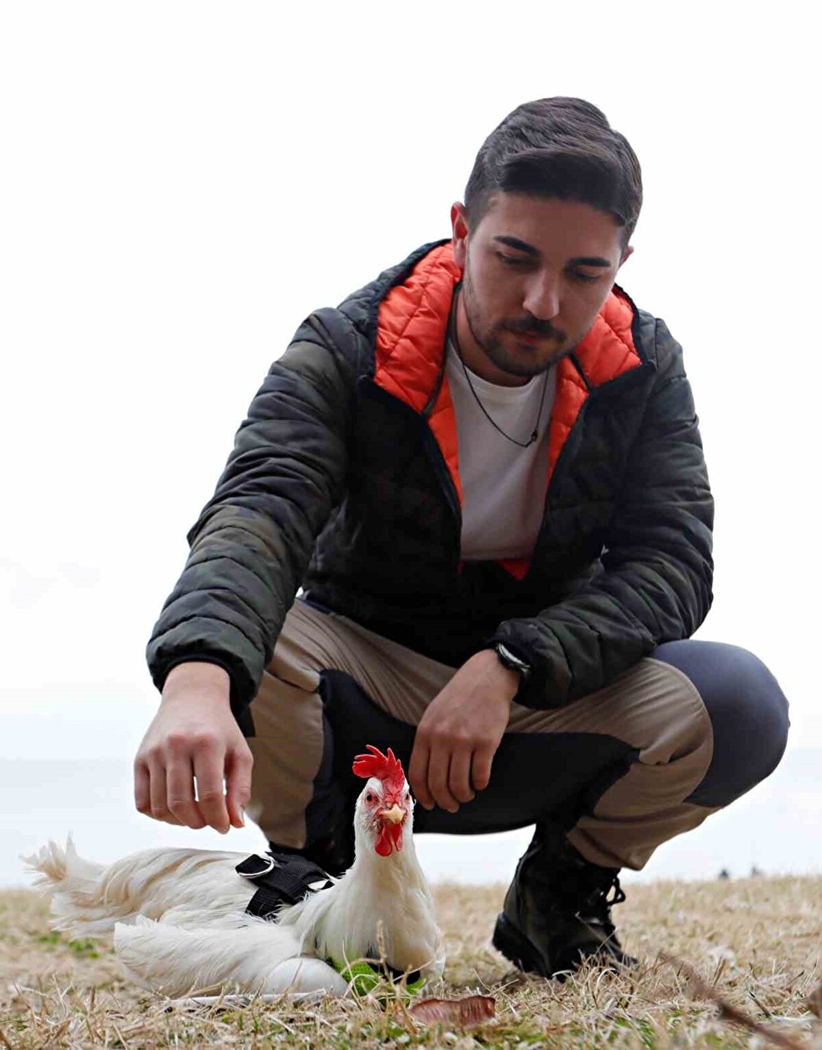 İlk başta martı zannettikleri hayvanın bir tavuk olduğunu anlayan grup, hızlıca kurtarma çalışmasına başladı.