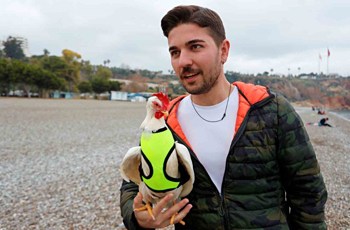 Tavuğa “Deniz” ismini veren Tahir Özden, tavuğu kurtardıkları anları sosyal medyada paylaştı. Paylaşımlar binlerce kez izlendi.