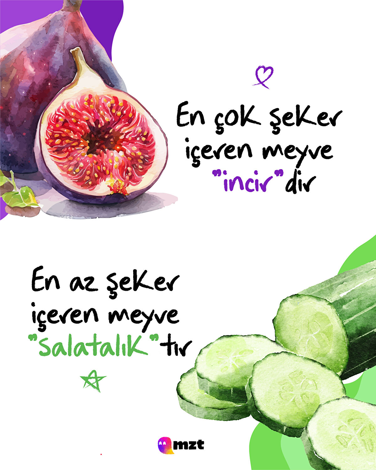 İncir vs salatalık