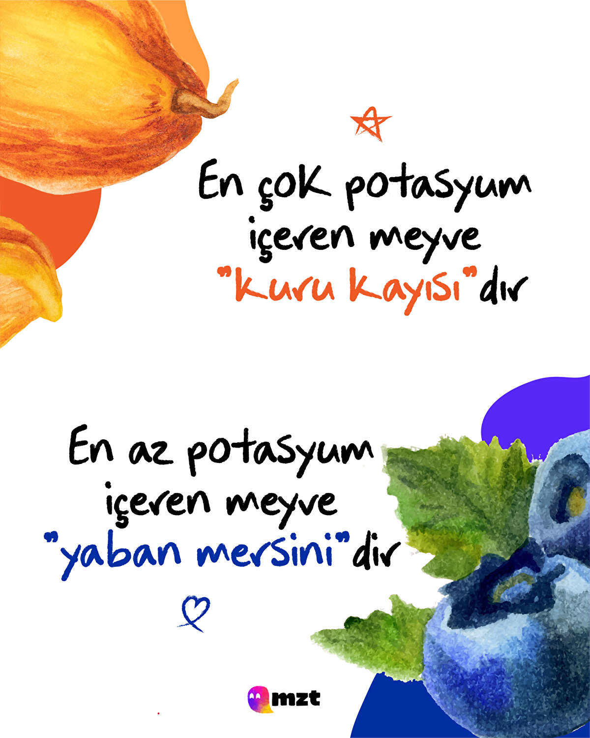 Kuru kayısı vs yaban mersini