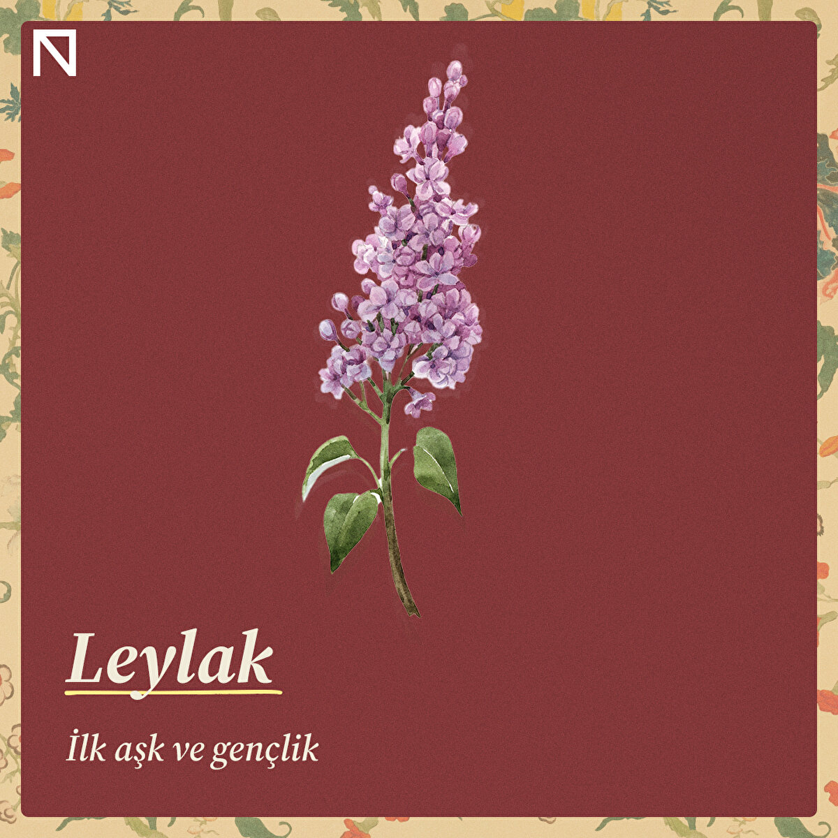 İlk aşk ve gençlik