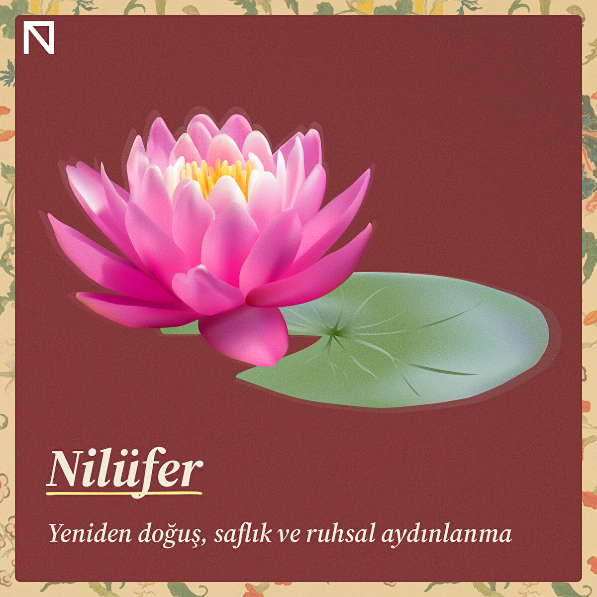 Yeniden doğuş, saflık ve ruhsal aydınlanma