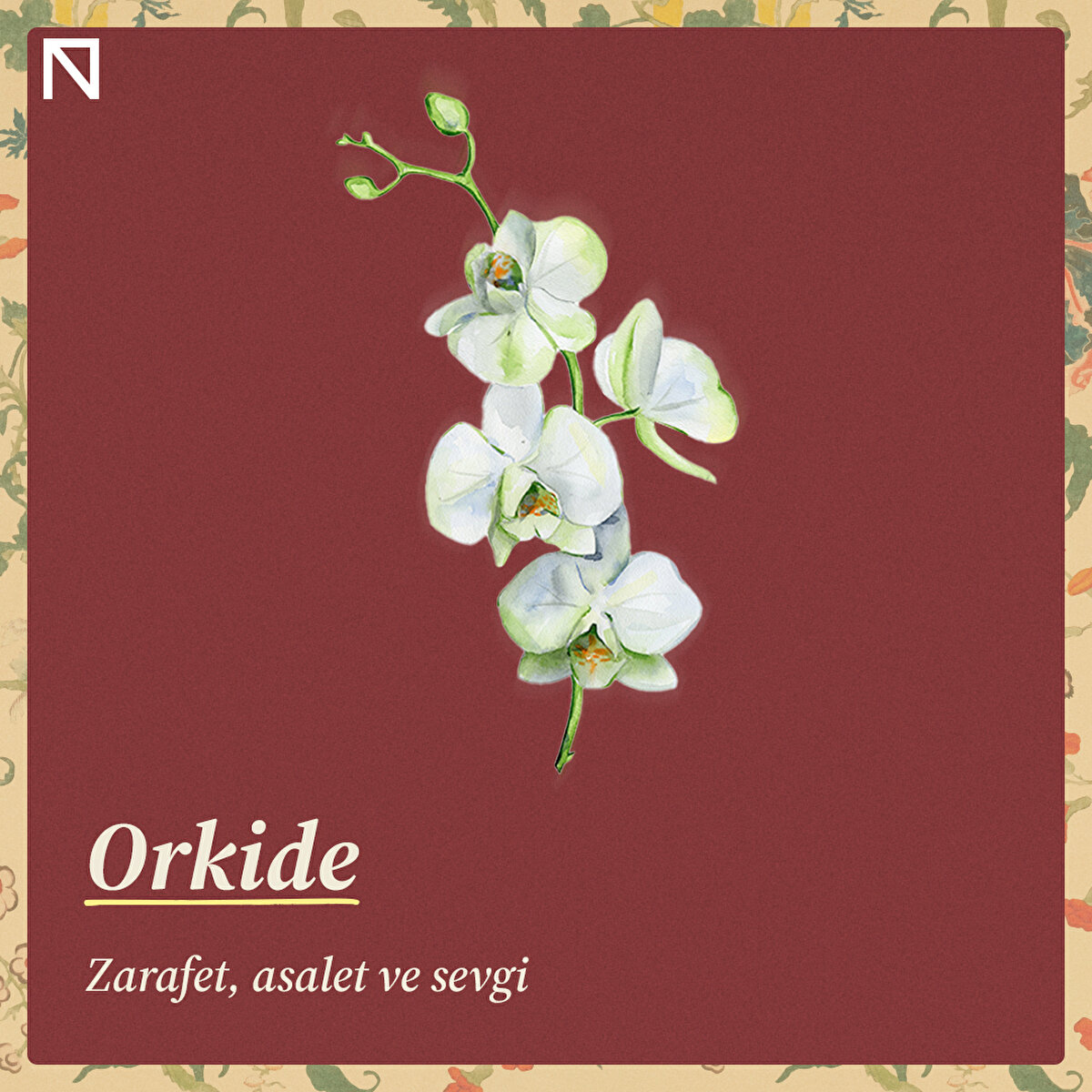 Zarafet, asalet ve sevgi