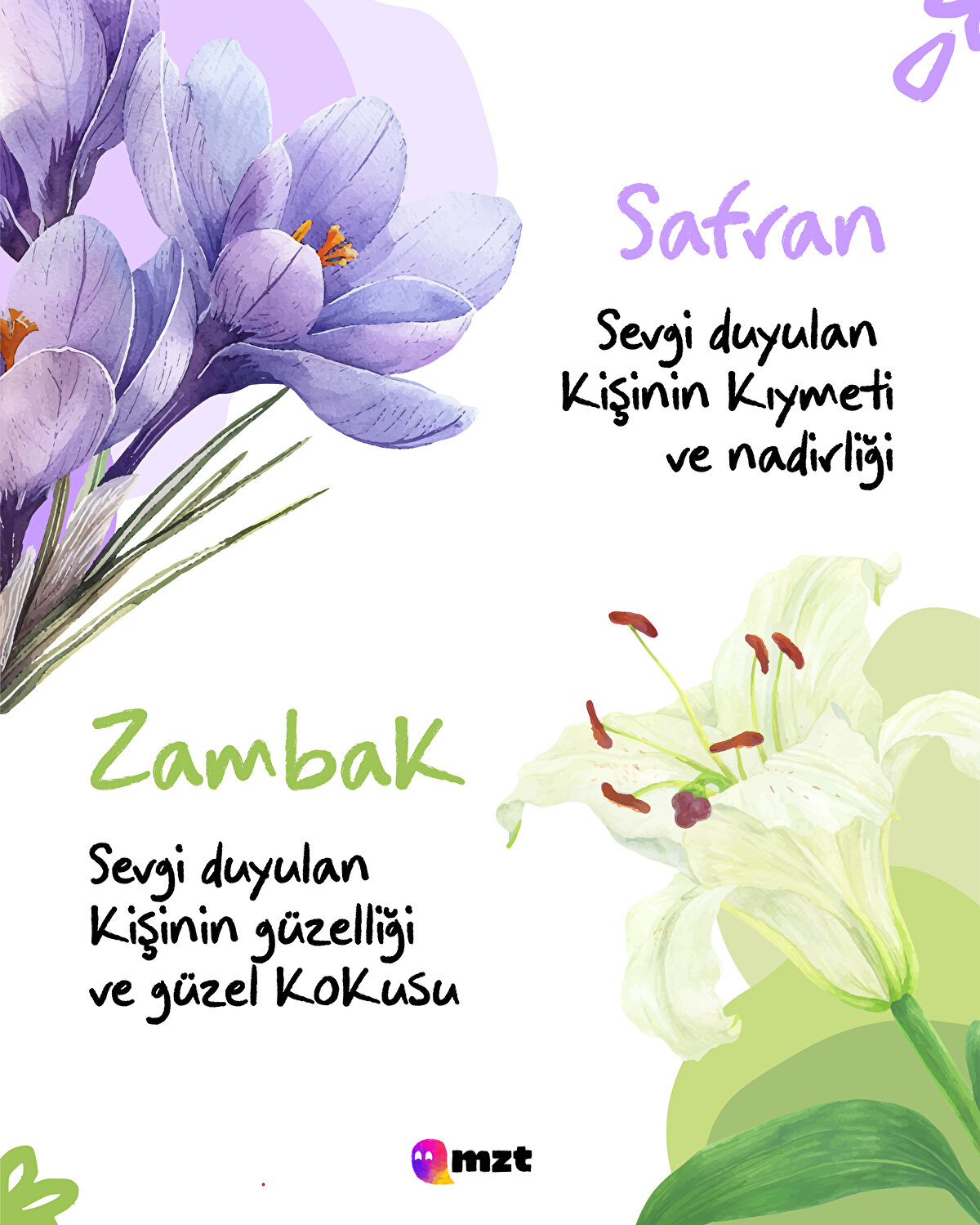 Safran-Zambak
