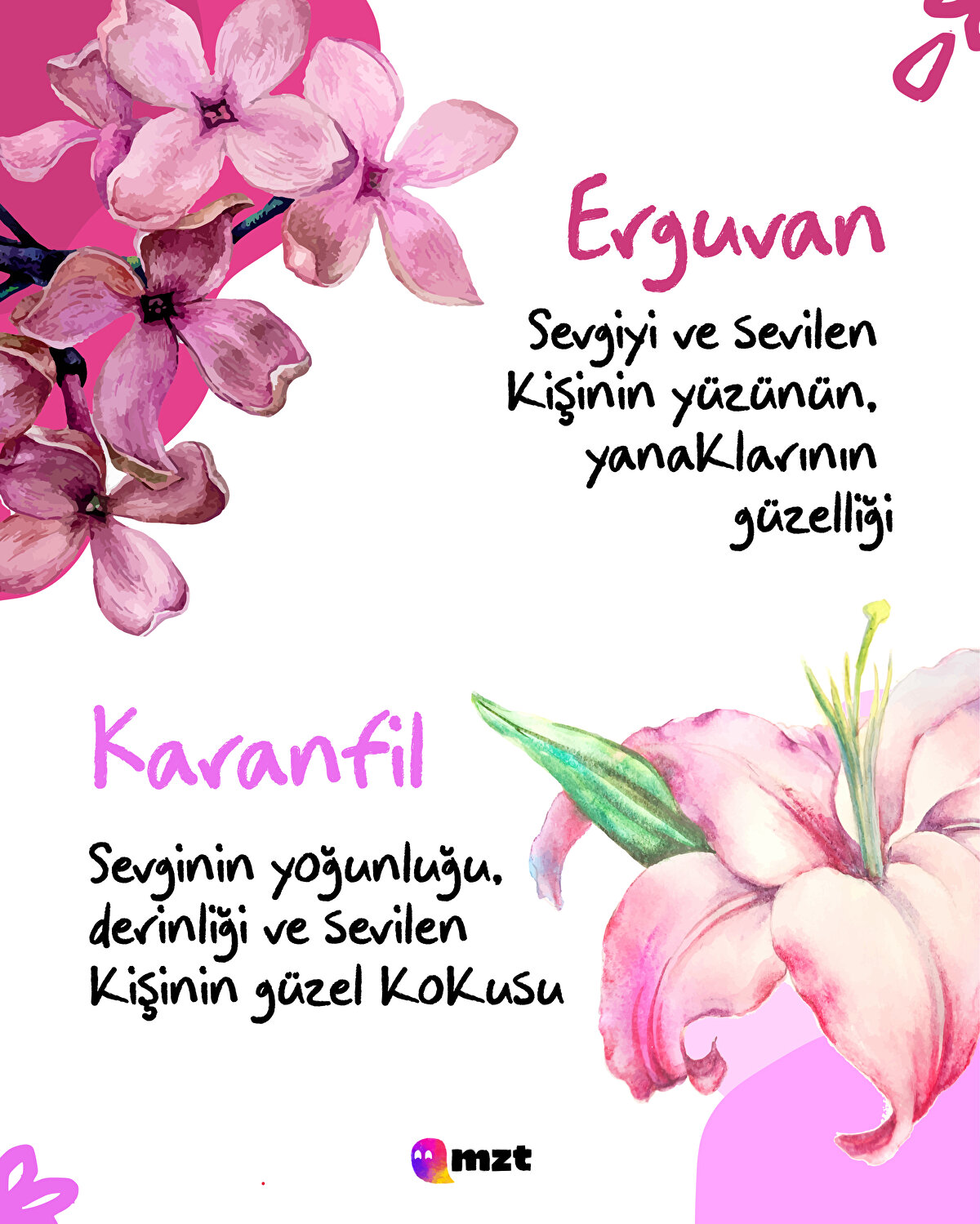 Erguvan-Karanfil