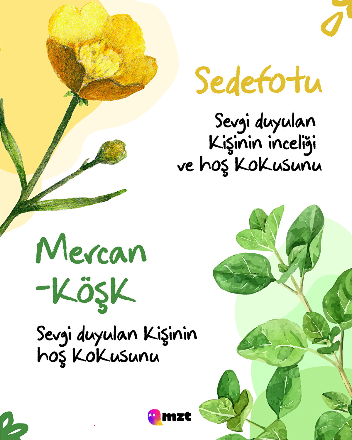 Sedefotu-Mercanköşk