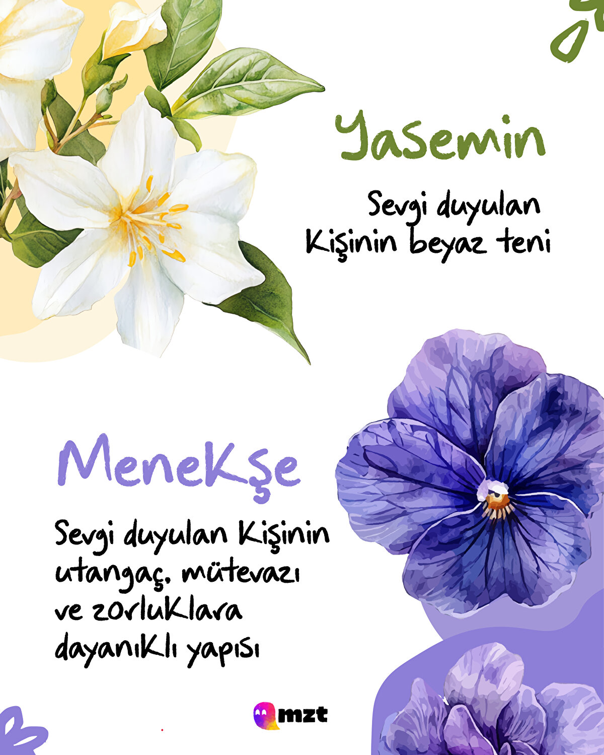 Yasemin-Menekşe