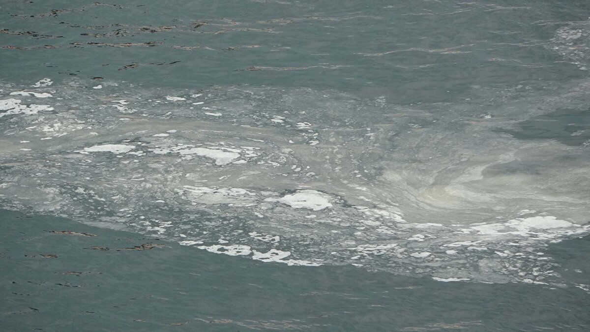 Marmara Ereğlisi’nde denize açılan balıkçılar radarda tespit ettikleri balıkları avlamak için suya ağ attı. Balıkçılar bir süre sonra ağları toplamaya başladı.