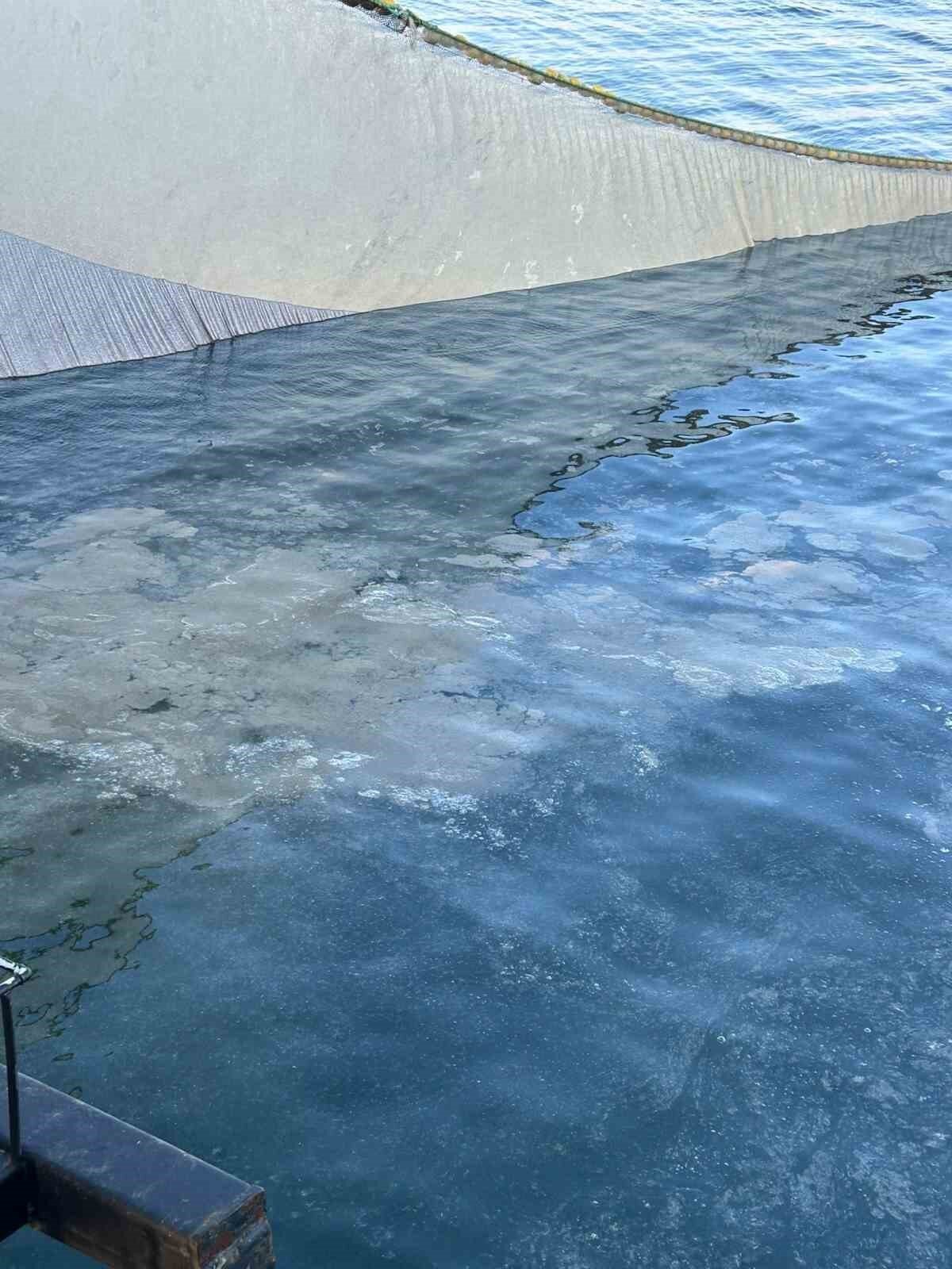 İstanbul Çevre Konseyi Başkanı Zafer Murat Çetintaş, "Balıkçılarımızla birlikte Marmara Ereğlisi açıklarında denize açıldık.