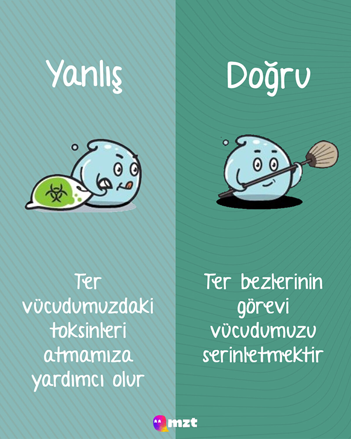 Ter bezleri vücudumuzu serinletir