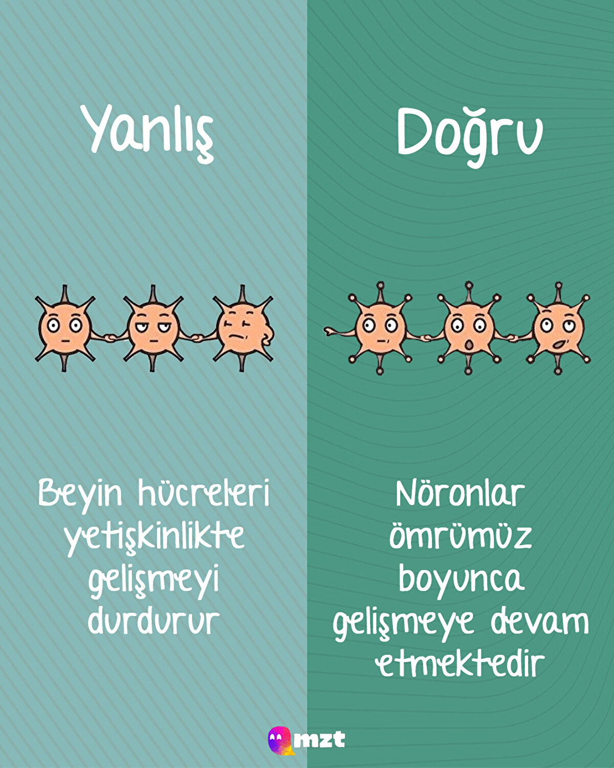 Beyin hücreleri ömür boyu gelişmeye devam eder