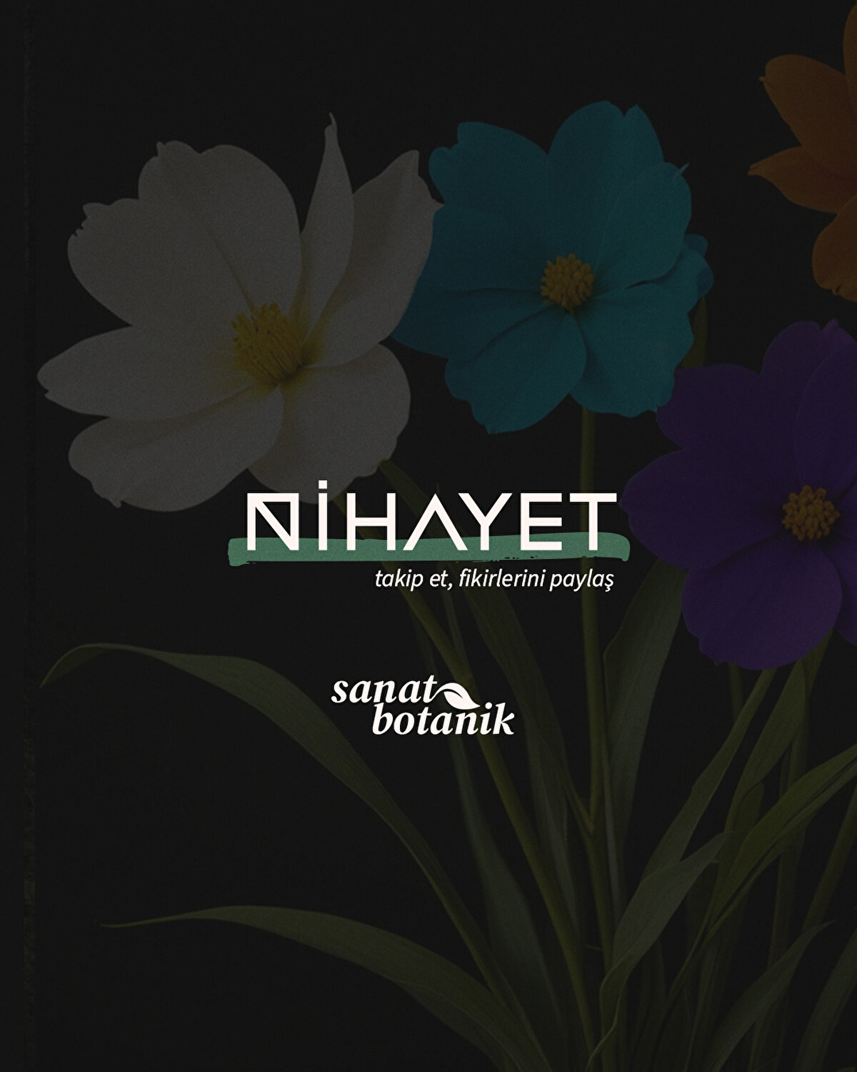 Daha fazlası için Nihayet'i takip etmeyi unutmayın