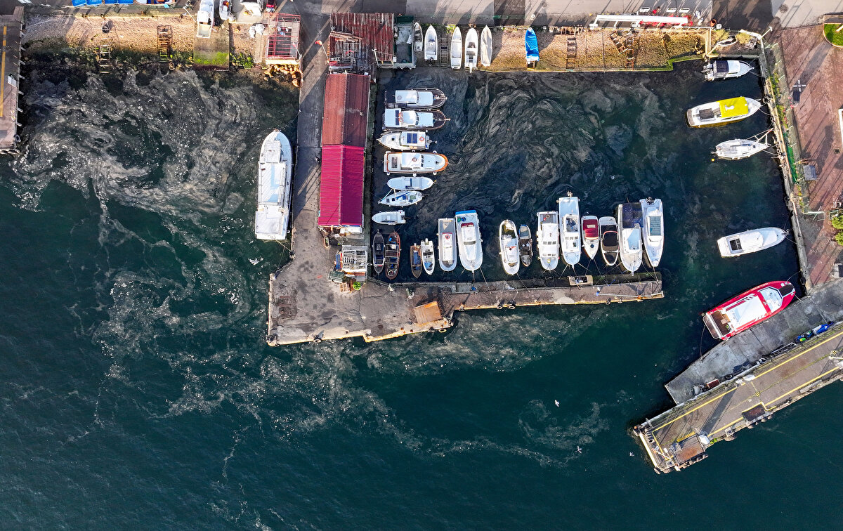 İstanbul'a en yakın ada olarak bilinen Kınalıada'nın limanında ve teknelerin bağlı bulunduğu balıkçı barınaklarında yoğunlaşan müsilajın yaklaşık 2 haftadır gittikçe arttığı gözlemleniyor.