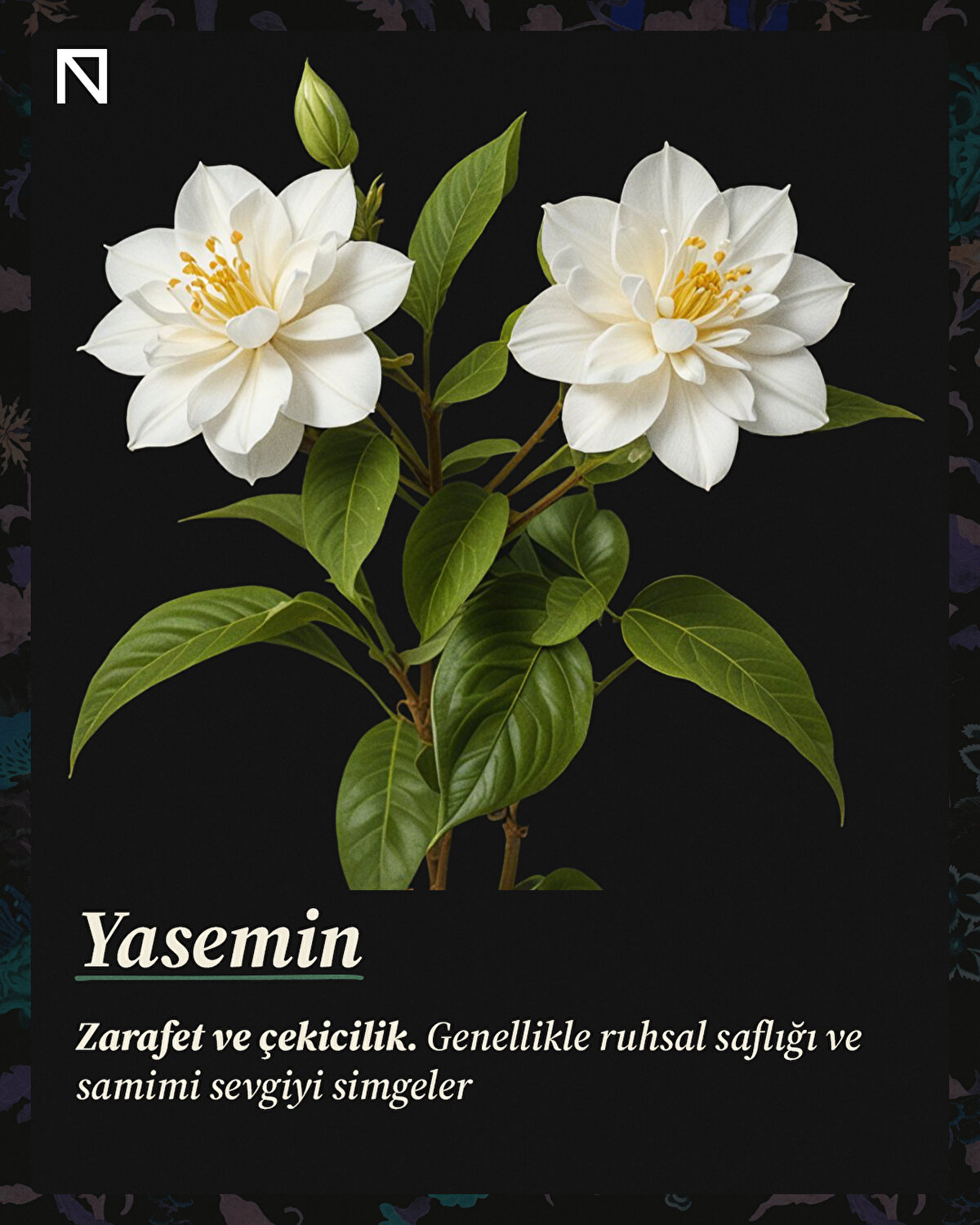 Zarafet ve çekicilik. Genellikle ruhsal saflığı ve samimi sevgiyi simgeler