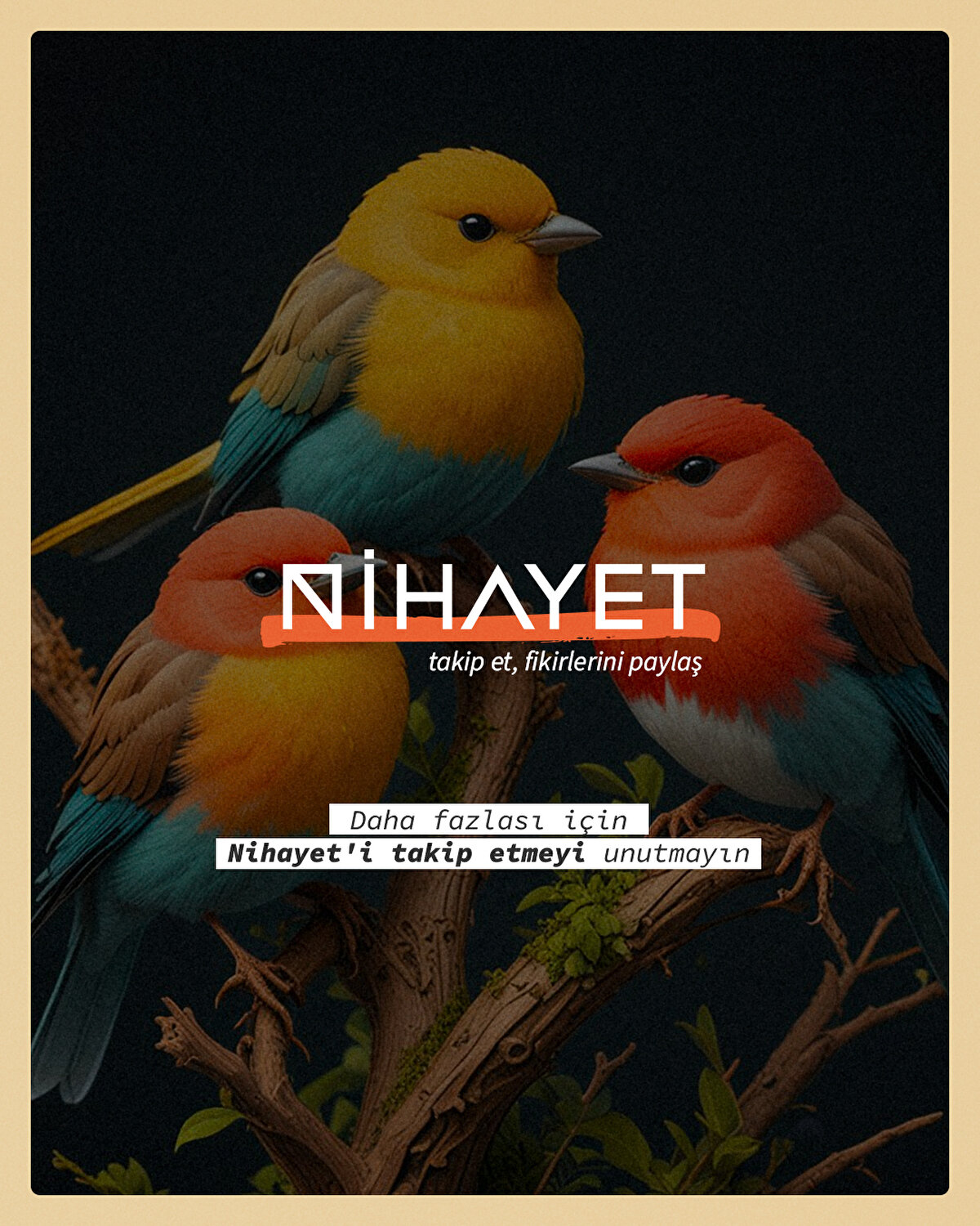 Daha fazlası için Nihayet'i takip etmeyi unutmayın