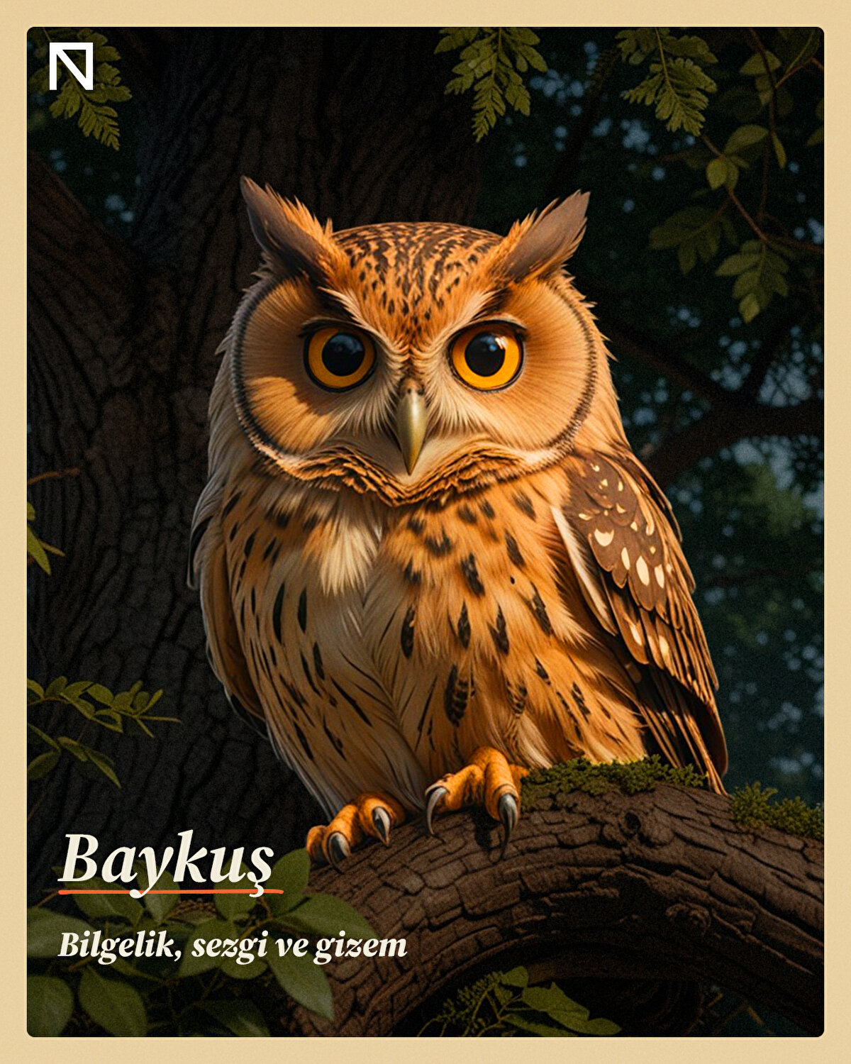 Bilgelik, sezgi ve gizem