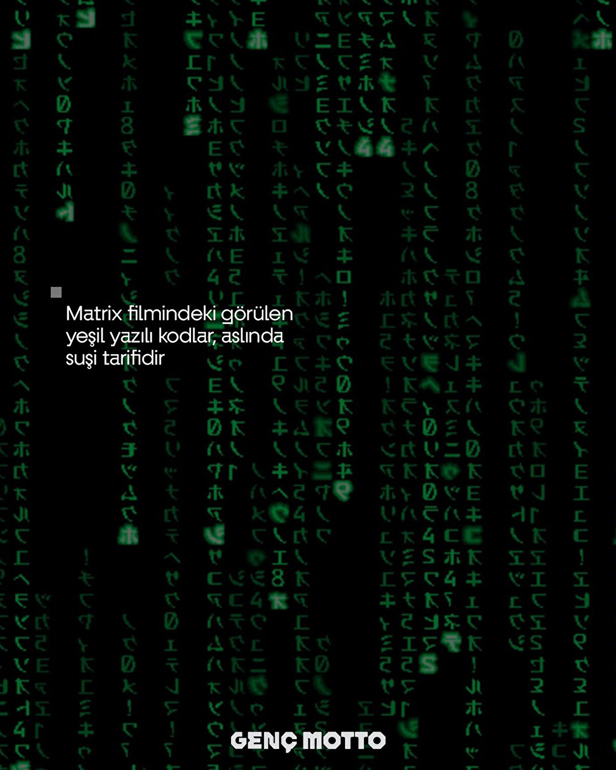 Matrix filmindeki g&#246;r&#252;len yeşil yazılı kodlar, aslında suşi tarifidir