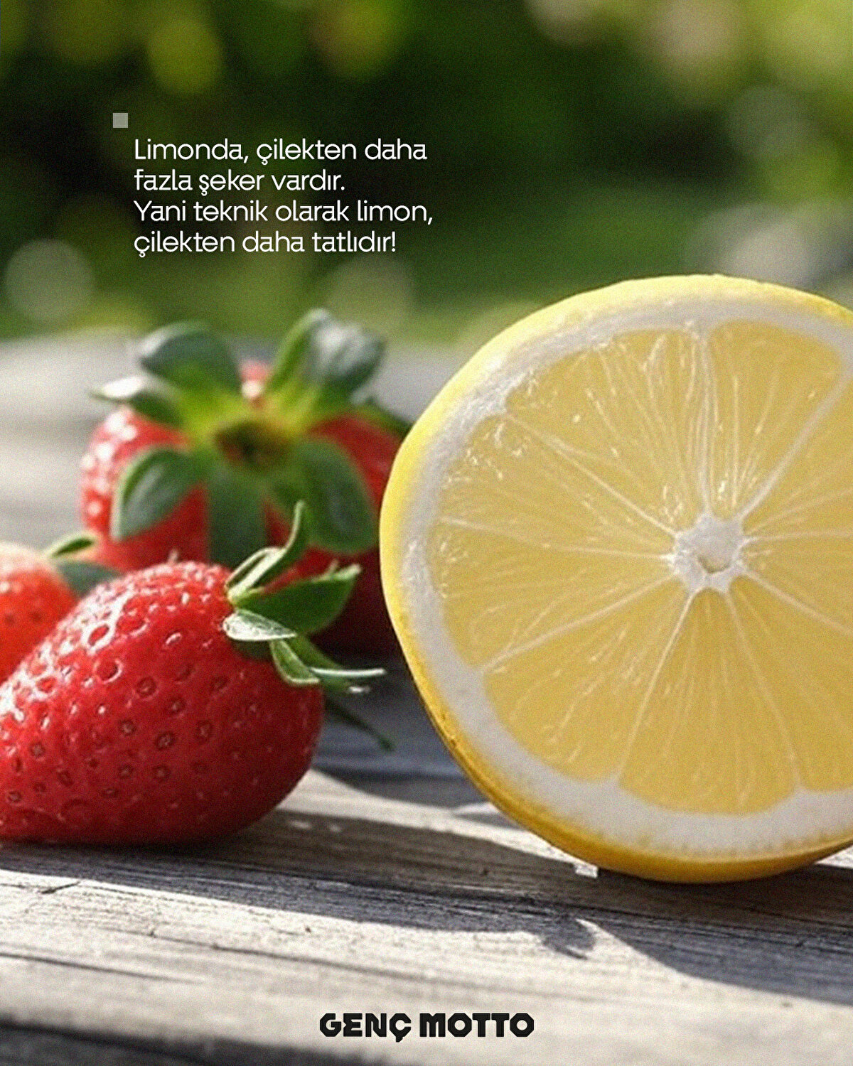 Limonda, &#231;ilekten daha fazla şeker vardır.Yani teknik olarak limon, &#231;ilekten daha tatlıdır!