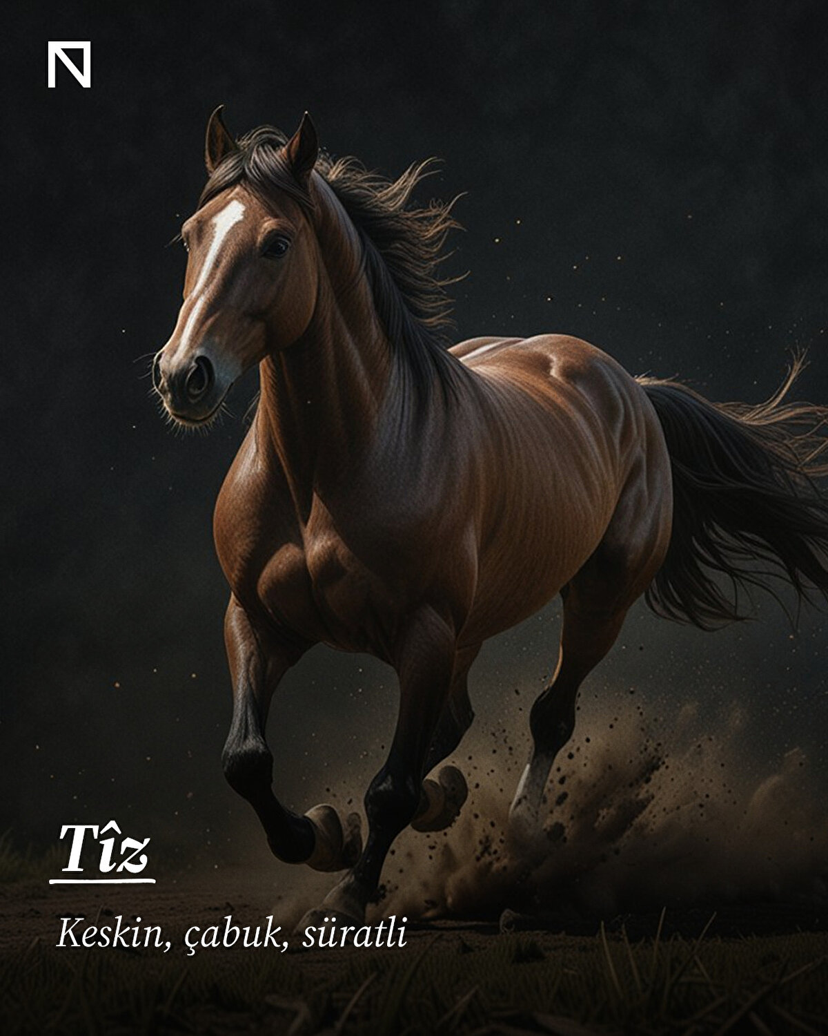 Keskin, çabuk, süratli