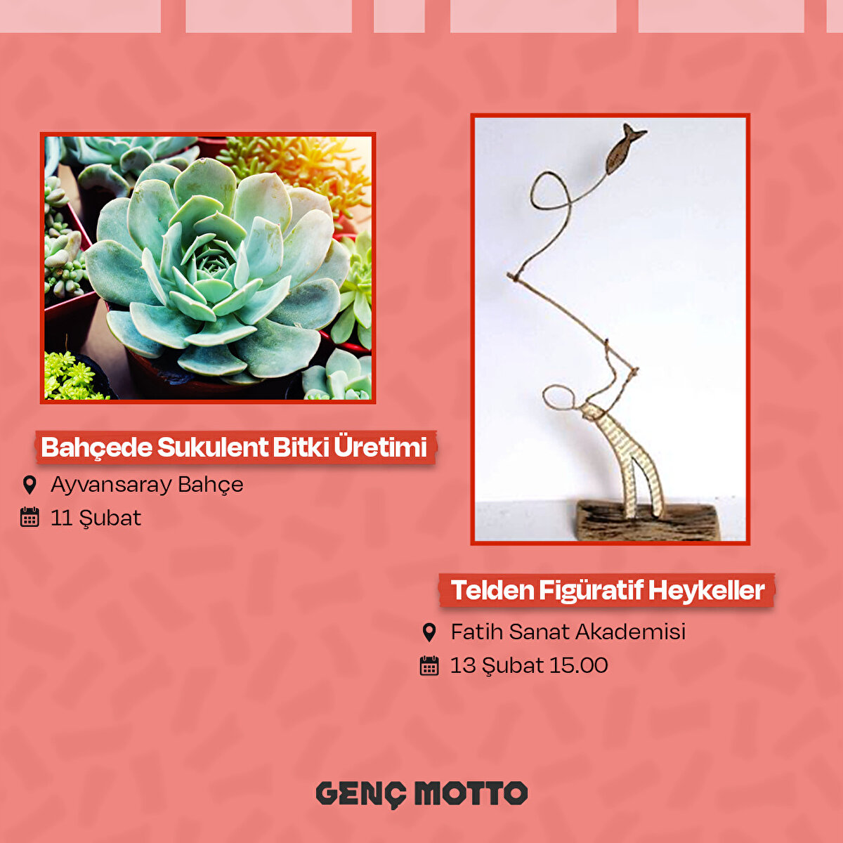 Bahçede Sukulent Bitkisi Üretimi - Telden Figüratif Heykeller