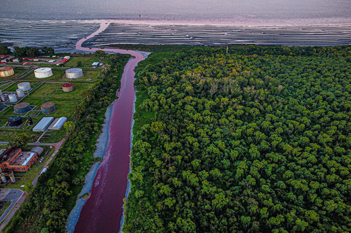 Yetkililer, kirliliğin Sarandi Nehri boyunca faaliyet gösteren şirketlerden dökülen tekstil boyası veya kimyasal atıklardan kaynaklı olabileceğinden şüpheleniyor.