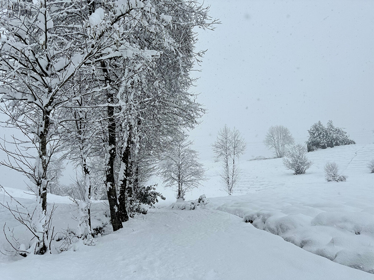 Rize<br><br>Rize'nin İkizdere ilçesinde tam gün tüm ilk ve orta dereceli okullarda 1 gün süreyle eğitime ara verildi.