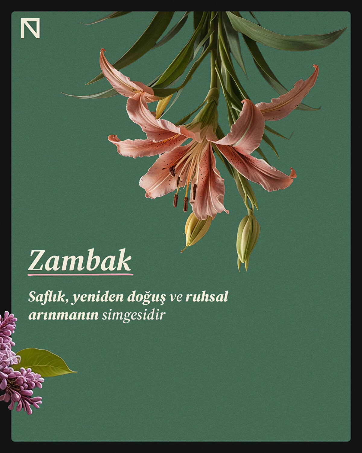 Saflık, yeniden doğuş ve ruhsal arınmanın simgesidir