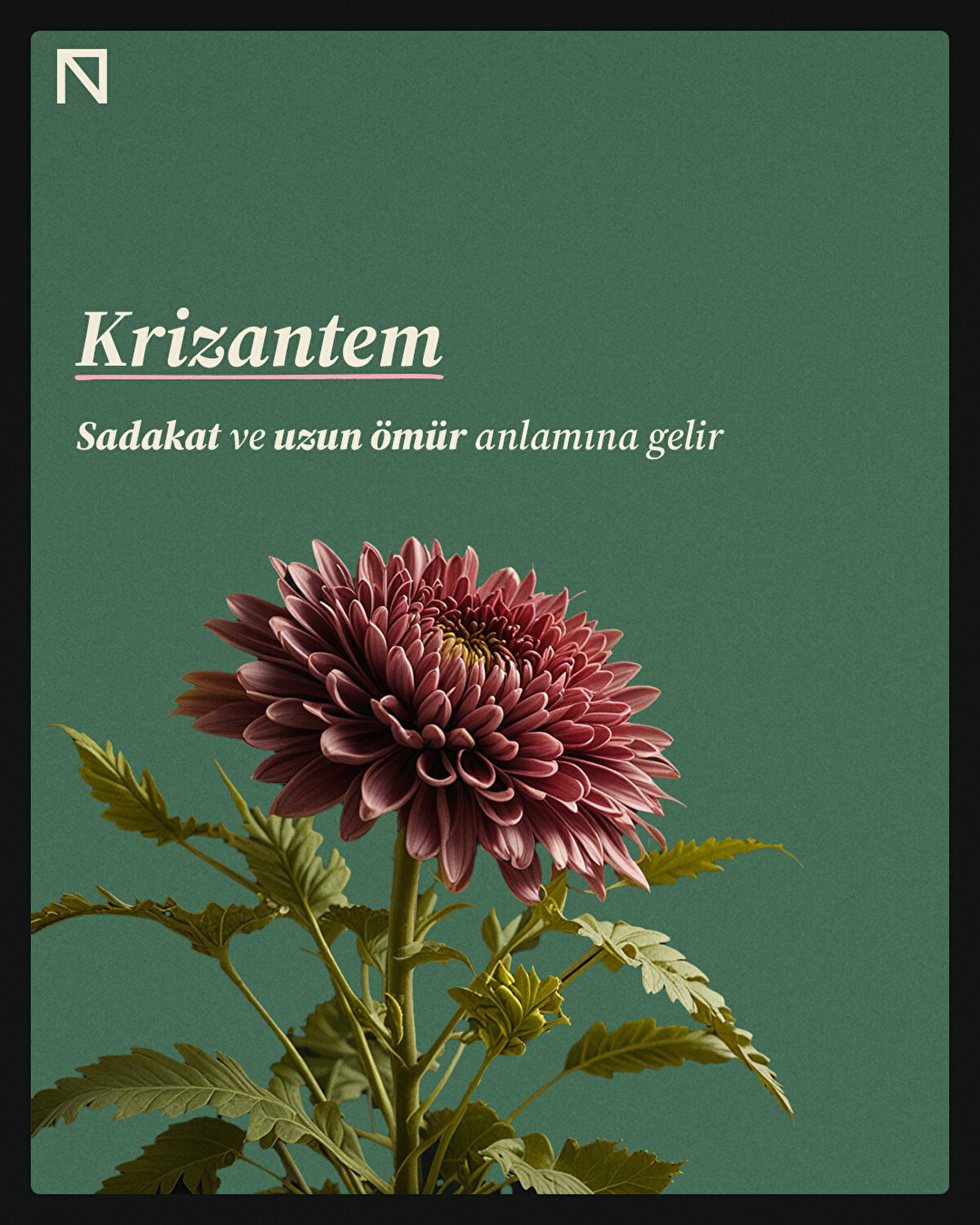 Sadakat ve uzun ömür anlamına gelir