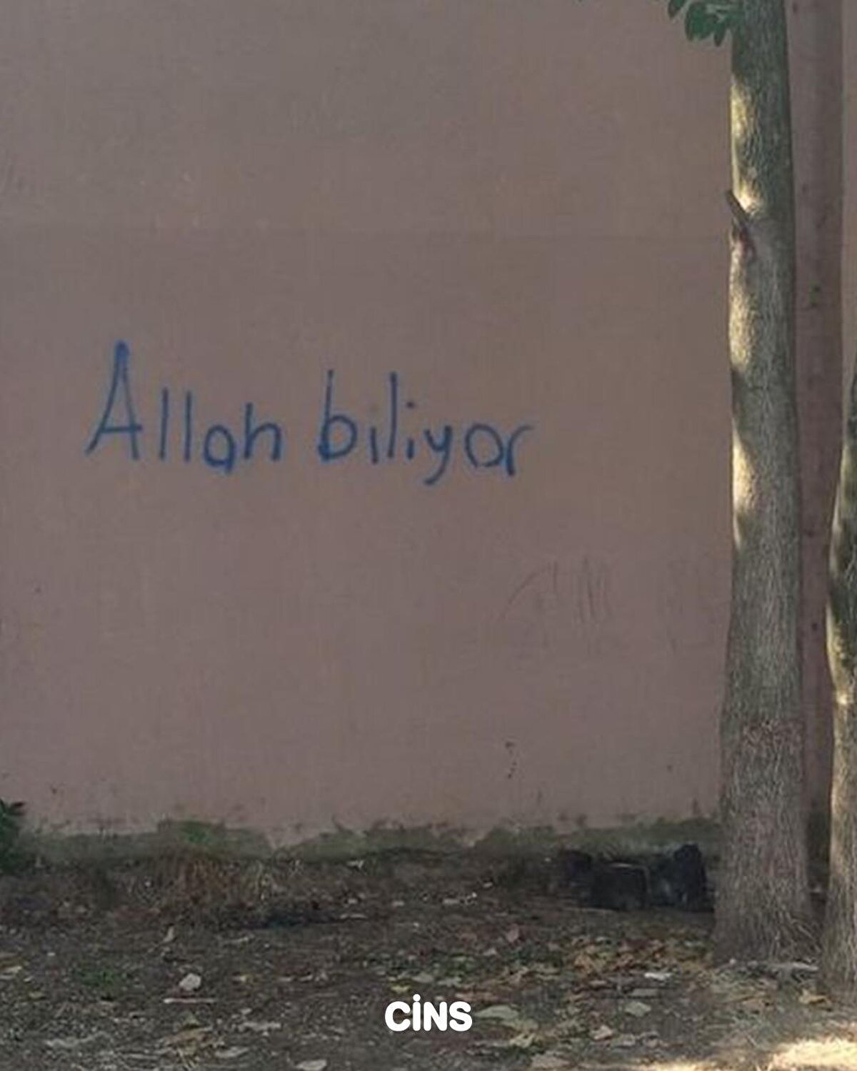Allah biliyor