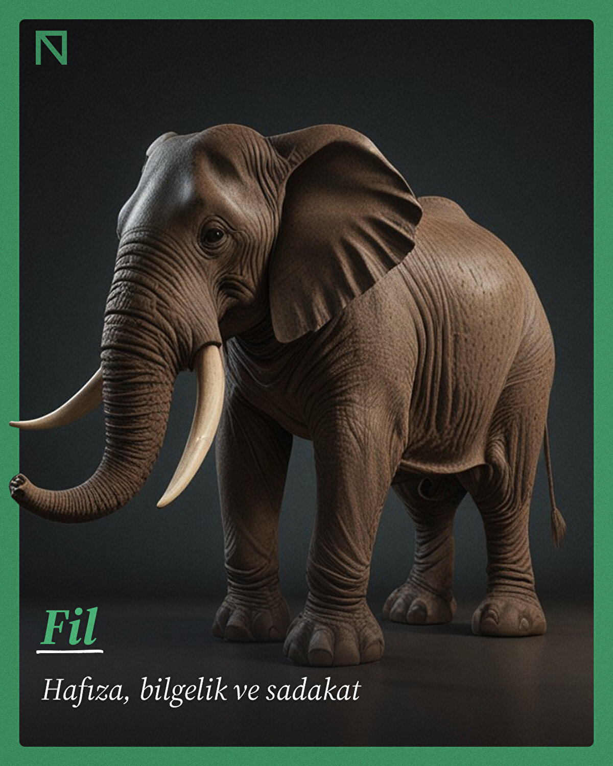 Hafıza, bilgelik ve sadakat