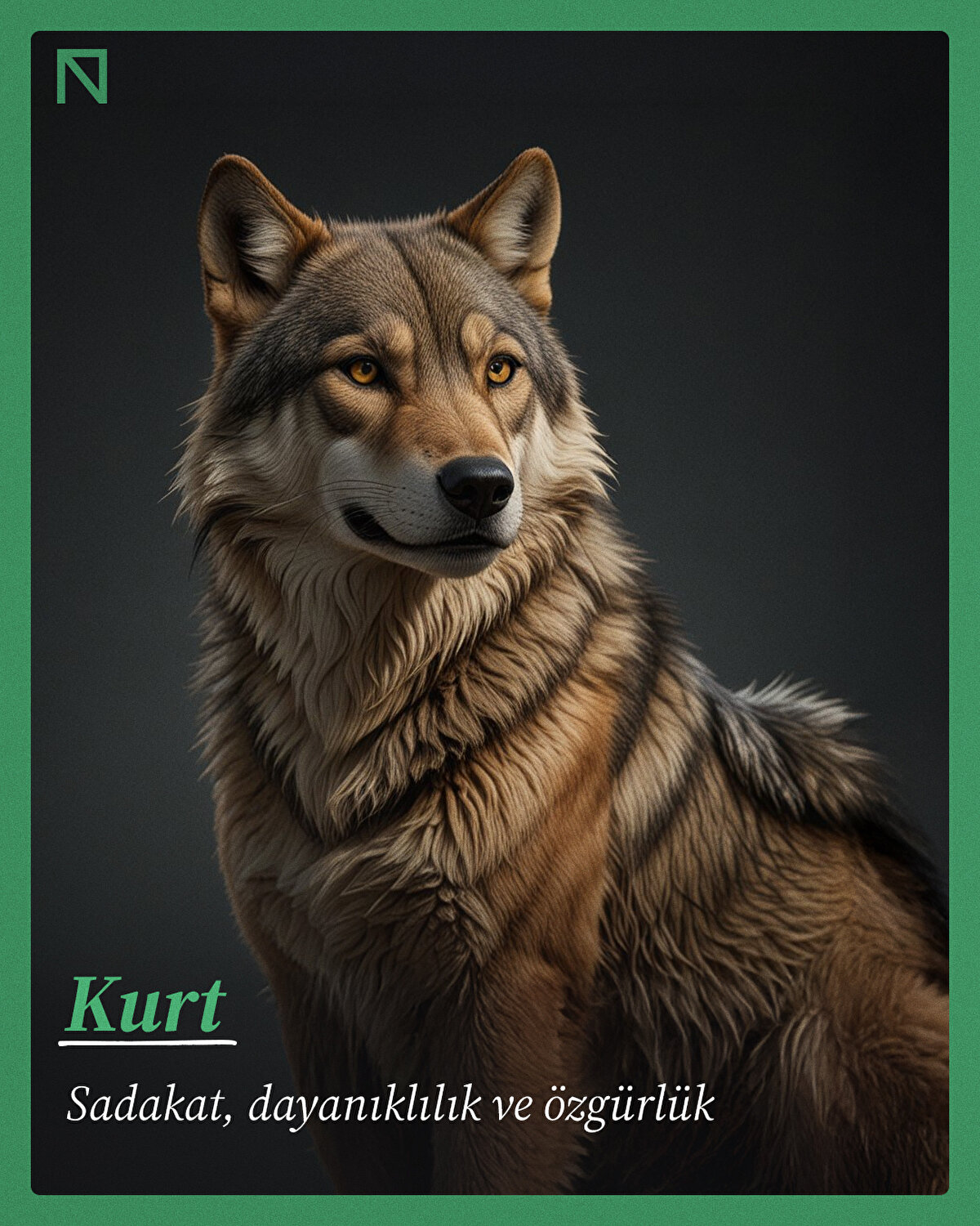 Sadakat, dayanıklılık ve özgürlük