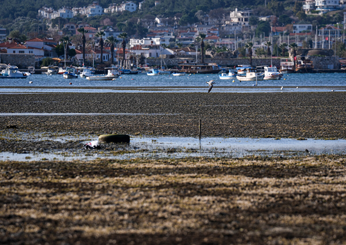 İzmir'in Seferihisar ilçesinde deniz suyu kıyıdan yaklaşık 200 metre çekildi.<br><br>Kuvvetli poyrazın etkili olduğu ilçede deniz suyunun çekilmesi nedeniyle çok sayıda balıkçı teknesi karaya oturdu.<br><br>Suyun çekildiği yerlerde adacıklar oluştu.