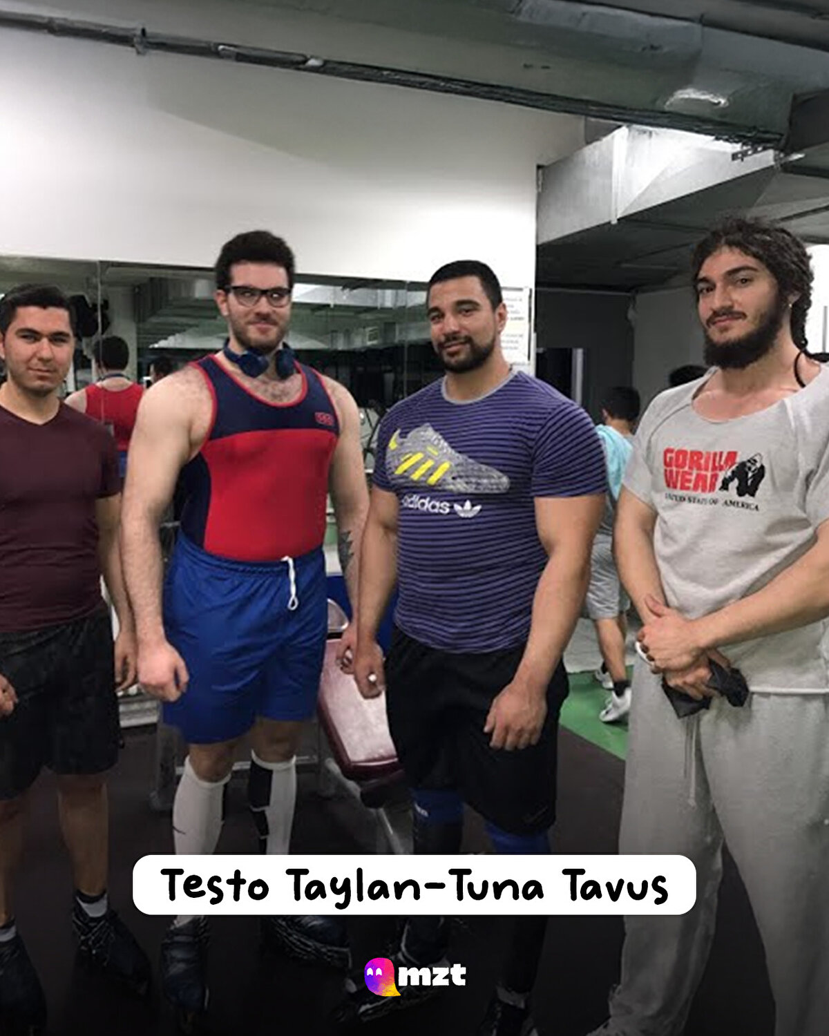 Testo Taylan-Tuna Tavus