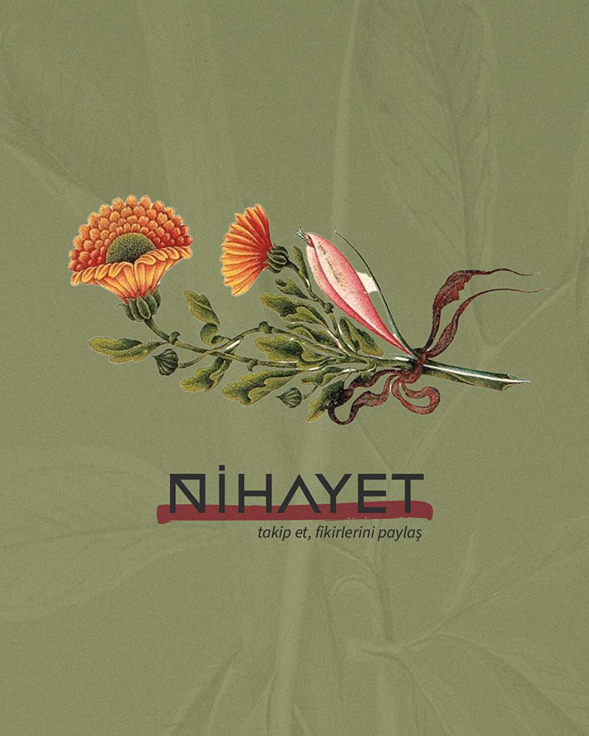 Daha fazlası için Nihayet'i takip etmeyi unutmayın