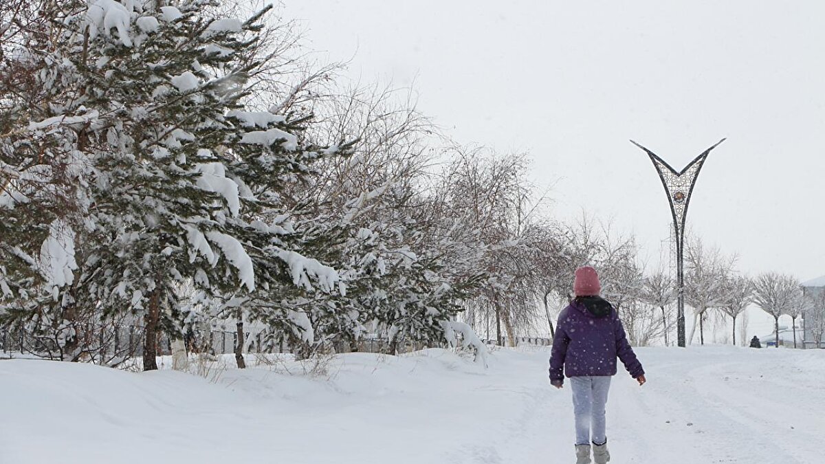 Bingöl<br><br>Bingöl'de etkili olan kar nedeniyle Adaklı, Karlıova, Kiğı, Yayladere ve Yedisu ilçelerinde eğitime bugün ara verildi.