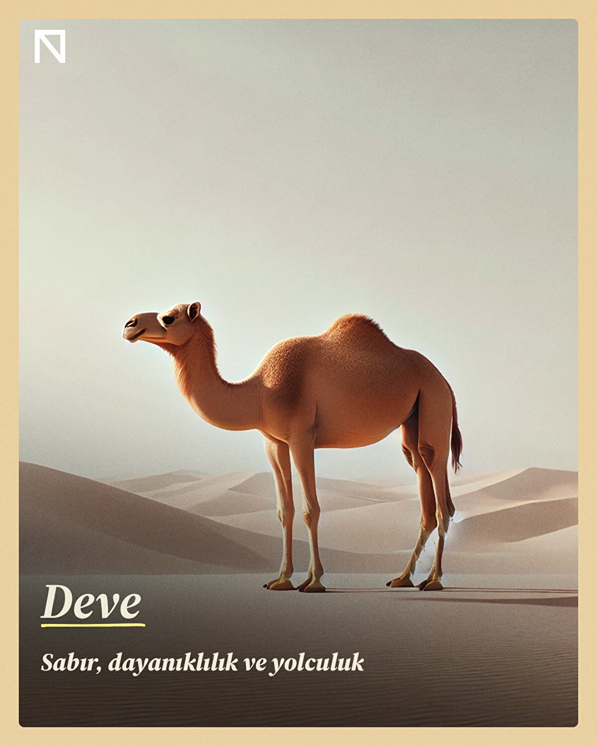 Sabır, dayanıklılık ve yolculuk