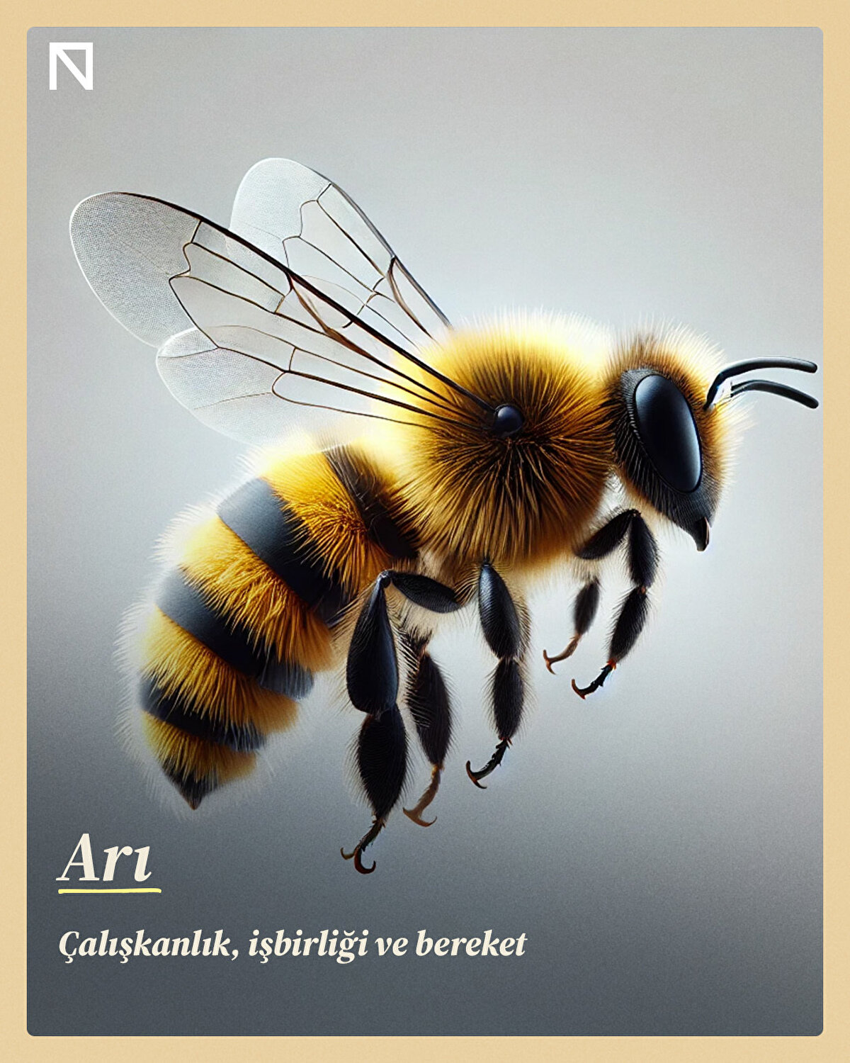 Çalışkanlık, işbirliği ve bereket