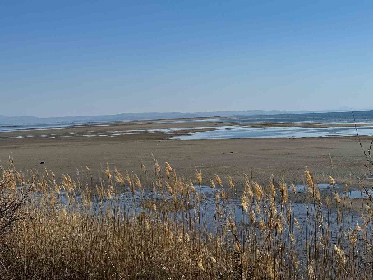 Biz bu bölgede çocukluğumuzdan beri balıkçılık yaparız. Bizler bu duruma alıştık. Bazıları komşumuz Yunanistan merkezli depremlerden kaynaklandığını sanıp endişe ediyor ama bizim için anormal bir durum yok" diye konuştu.