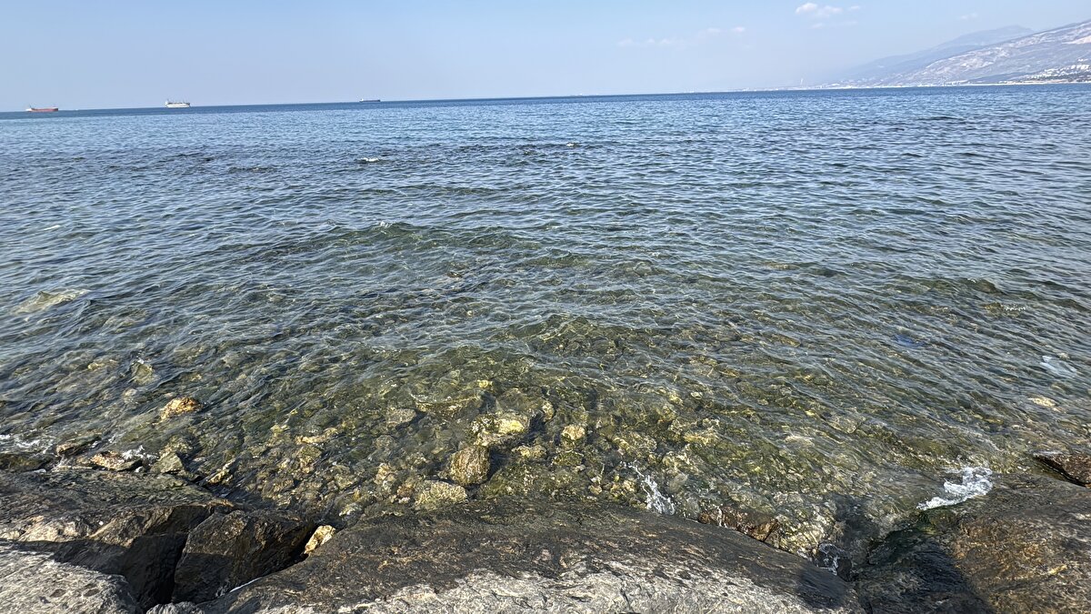 Alabora olan teknelerin kurtarılması için çalışma başlatıldı. Vinç yardımıyla karaya çıkarılan tekneler, tamir atölyelerine götürüldü.