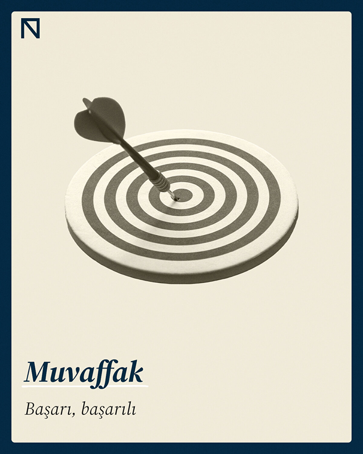 Başarı, başarılı