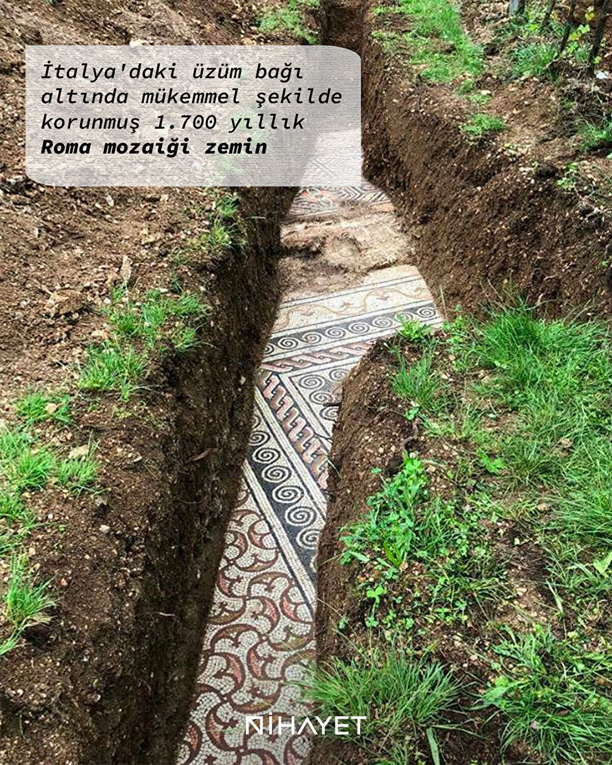 İtalya'daki üzüm bağı altında mükemmel şekilde korunmuş 1.700 yıllık Roma mozaiği zemin