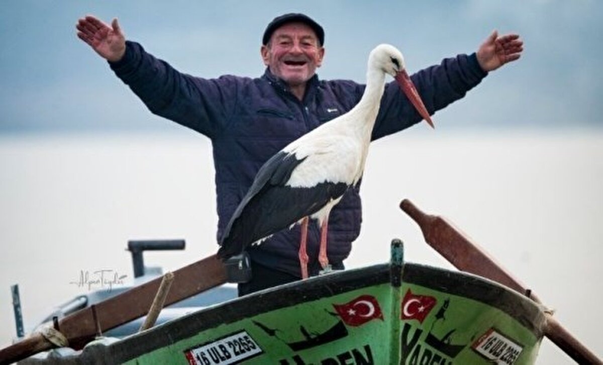Hikâyeyi merakla bekleyen Yarenseverler ise biraz geciken Yaren’in köye gelmesiyle birlikte derin bir ’oh’ çekti. Bir haftadır köyde Balıkçı Adem Amca ile bekleyen Doğa Fotoğrafçısı Alper Tüydeş, bu sabah çektiği fotoğraf ve video ile müjdeli haberi verdi. Yaren ve Nazlı şimdi yuvalarında ziyaretçilerini bekliyor.