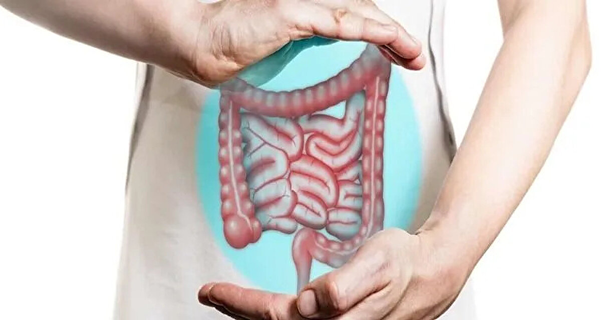 Bağırsak sağlığını iyileştiren bu beslenme düzeni, kan basıncı ve kolesterol düzeylerini düşürürken, iltihaplanma, kilo ve besin emilimi gibi fonksiyonları da dengede tutuyor. 