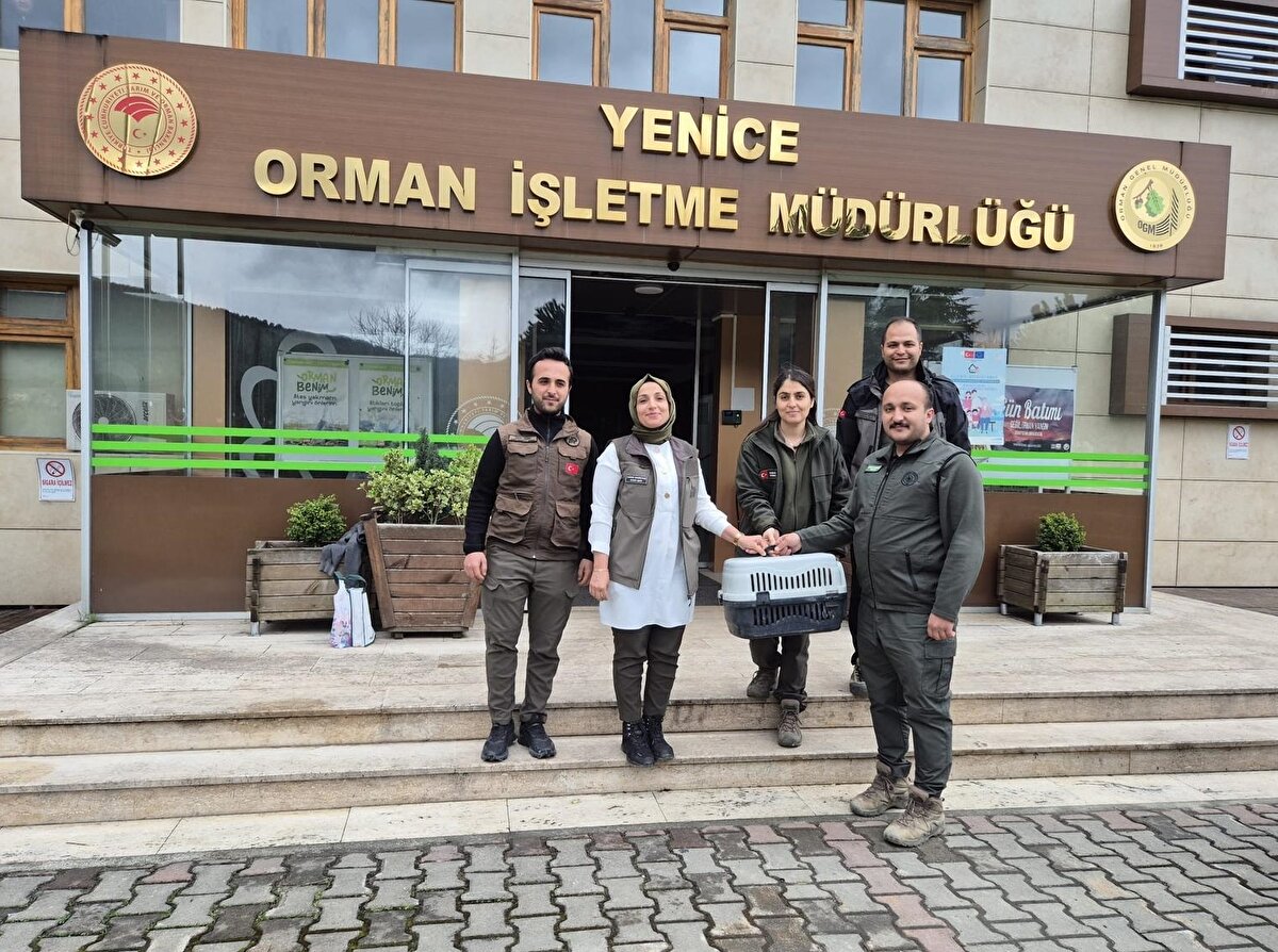 oruma altına alınan yavru ayı Doğa Koruma ve Milli Parklar Şube Müdürlüğü ekiplerine teslim edildi. 