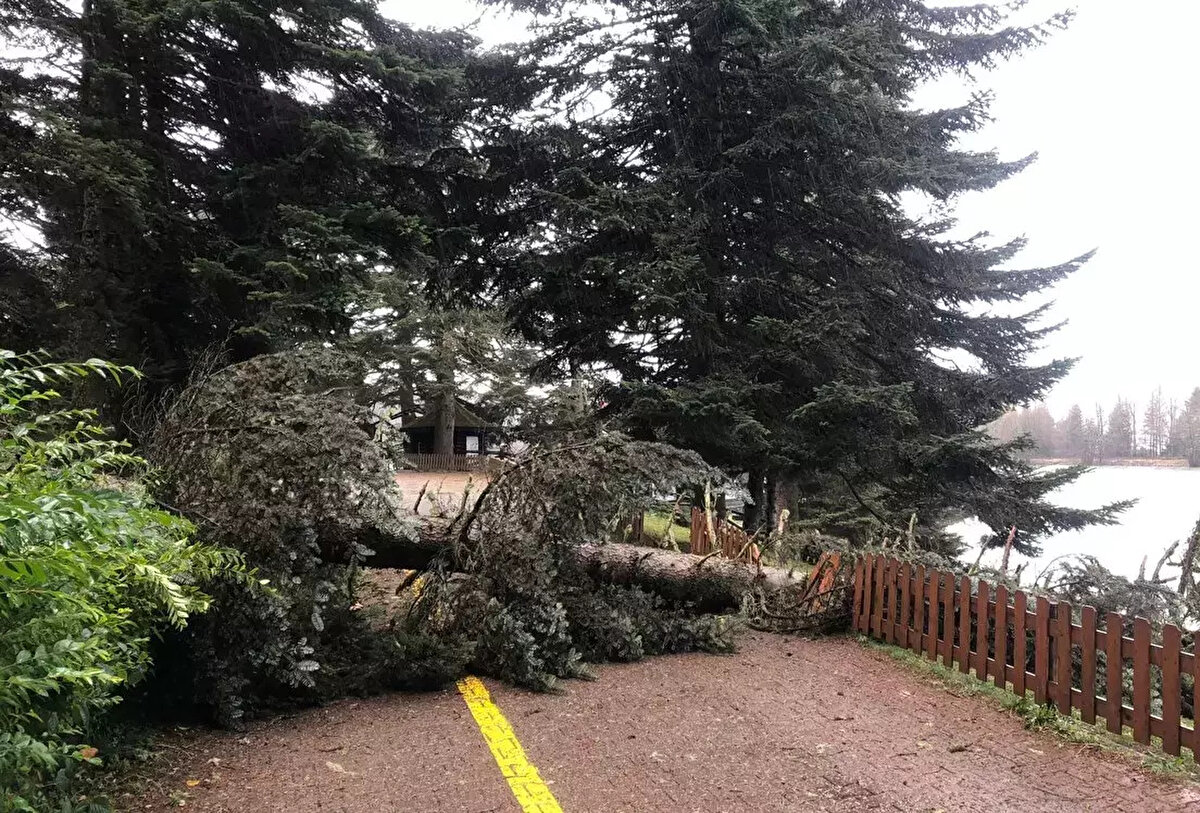 Bolu: Kuvvetli rüzgar ve sağanak etkili olacak.