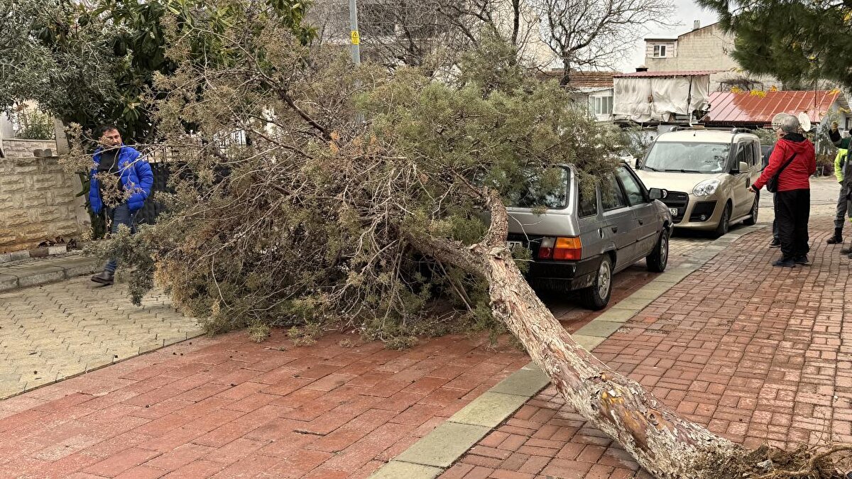 Denizli: Kuvvetli rüzgar ve sağanak etkili olacak.