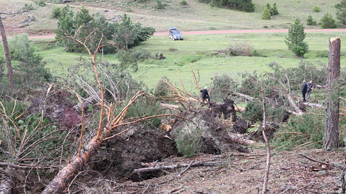 Kütahya: Kuvvetli rüzgar ve sağanak etkili olacak.