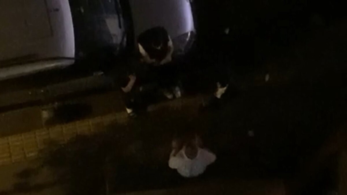 Bir süre sonra Balcı ile 3 kişilik grup arasında sözlü tartışma çıktı. Bu tartışmanın ardından Balcı, erkek kardeşi ile yürüyüşe çıktı. Balcı, yürüyüş yaptığı sırada 3 kişilik gruptan Berat C. cebinden çıkardığı bıçağı art arda Balcı'ya sapladı. Balcı kanlar içerisinde yere yığılırken Berat C., Baran C., ve Musa P. olay yerinden koşarak kaçtı. Çevredeki vatandaşlar Balcı'yı olayın yaşandığı yerin 50 metre ilerisinde bulunan özel bir hastaneye taşıdı. İlk müdahalesi özel hastanede yapılan Balcı daha sonra sevk edildiği Bakırköy Sadi Konuk Eğitim ve Araştırma Hastanesi'nde yapılan tüm müdahalelere rağmen hayatını kaybetti.