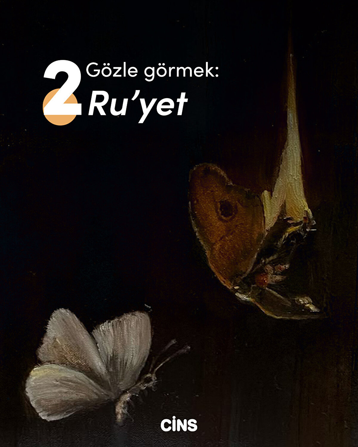 Gözle Görmek: Ru'yet