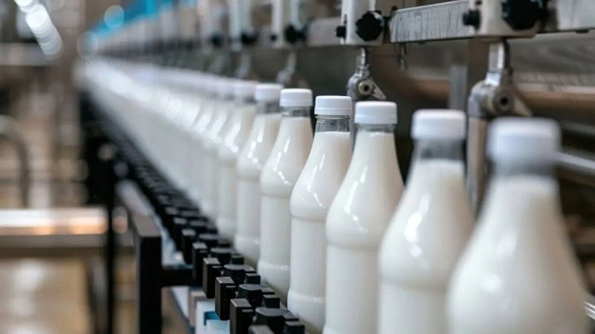 40 yıldır süt üretimi yapan Koç Gültekin Süt, Balıkesir 2. Asliye Ticaret Mahkemesi tarafından verilen 14 Mart 2025 tarihli kararla 3 aylık geçici mühlet aldı. Bu süreçle birlikte, şirketin malvarlığı ihtiyati tedbir kararı ile koruma altına alındı. Aynı zamanda, firmanın mali faaliyetlerini denetlemek için Serbest Muhasebeci Mali Müşavir Sema Erol, geçici konkordato komiseri olarak atandı.